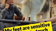 hihi #shorts #viral @Co ty opowiadasz za historiee