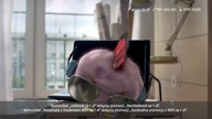 Serce i Rozum - Więcej swobody
