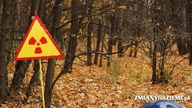 Brytyjscy naukowcy zgłosili nieznane ogniska skażenia w Czarnobylu!