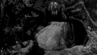 Kobieta z Przeklętego Wzg&oacute;rza(Mesa of lost Women)1953