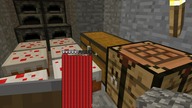 minec (9) 132