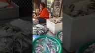 Ryby na targu w Kambodży