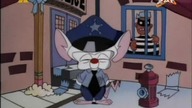 Pinky i M&oacute;zg S03E20 - To jeszcze nie wszystko