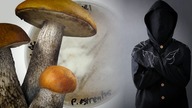 Pogrzebowy całun przyszłosci. Dzięki niemu po śmierci zostaniesz... grzybem