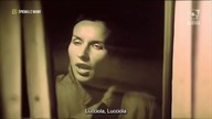 Maanam - Lucciola (Kino Polska Muzyka)
