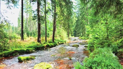 10H Vibrant Mountain River Sounds &bull; Refreshing Forest Water for Energy & Focus
