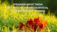 Audycja Wyzwolony - Bill Behrens