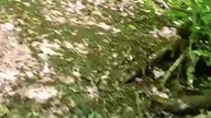 Hard Enduro