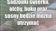 Świdnik: Posadź drzewko