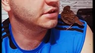 Znaleźny wróbelek (nie potrafi latać)