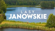 Lasy Janowskie - najlepsze leśne trasy na rower w Polsce  Duże zaskoczenie!