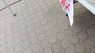 Koncert Lombardu w Bydgoszczy część 1