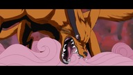 LISIE WĄSY NARUTO