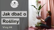 Jak nie zabic swoich roslin domowych przez jesien i zime? Vlog #4