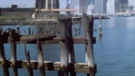 Nowojorski rozpruwacz (1982) NAPISY PL