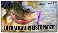 ULTRALIGHT W LISTOPADZIE // nowy kolor gum // 2023