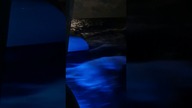 Fast sailing at night  #short #trimaran #speed