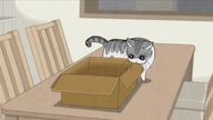 [Fusoku Subs] Yoru wa Neko to Issho 18v2
