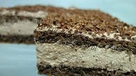 Ciasto Opium.  Przepis babci jak zrobić makowo-czekoladowy biszkopt z przepysznym kremem