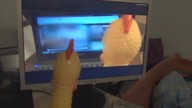 Shrilling Chicken - Shit Happens!