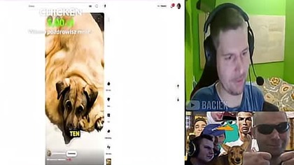 ale go ten dog prowokuje #dawidjasper #jasper #funny