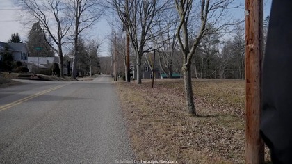 Amityville. Rex. 2026. 1080p. WEBRip. x264. AAC-[YTS. BZ]