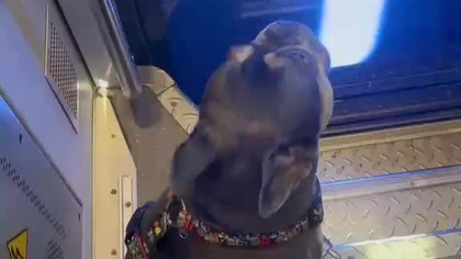 Kiedy on wreszcie się zatrzyma!?