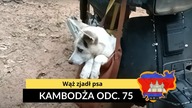 Kambodża - Wąż zjadł psa (odc.  75)
