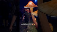 Pierwszy kraj na świecie właśnie zalegalizował 