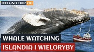 Whale watching 2022 | Islandia i wieloryby | Iceland trip #10