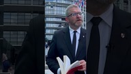 Braun o Parlamencie Europejskim.  Mordor w wersji soft