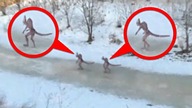 PARANORMALNE straszne NAGRANIA - Wioska duchów