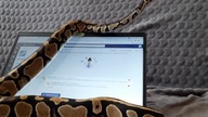 What the heck is she doing?