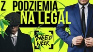 Z podziemia do LEGALNEGO biznesu konopnego | Paweł Teone Leśniański #Rolltalk by HESI