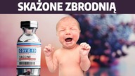 Szczepionki skażone zbrodnią.  Tkanki pobierane są żywcem! Petycja do Niedzielskiego | K.  Godek