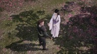 Wan Jie Xian Zong Sezon 5 Odcinek 245