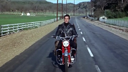 Roustabout.  Wagabunda.  Roustabout. 1964.  Lektor.pl