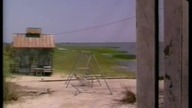 Ptaki II - The Birds II Lands End 1994 [480p] [WEB-DL. x264] [Lektor PL]