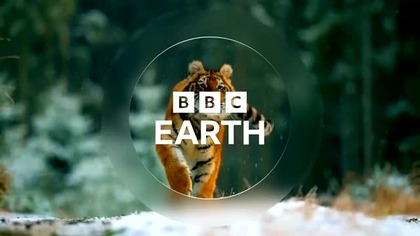BBCEARTH - 07-07-2025 - Reklamy, Zapowiedzi, Ident