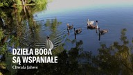 Stworzenie mówi o wspaniałości Boga