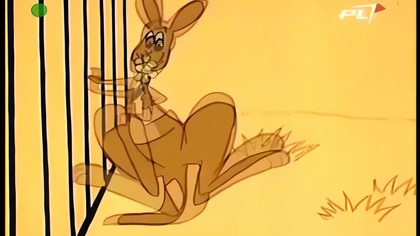 Kangurek Hip Hop - Bóbr HD