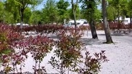 Zmiany na Camping Bijela Uvala