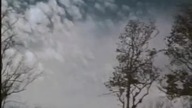 1956 - ADAM I EWA - CAAŁY FILM BEZ TŁUMACZENIA 2