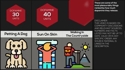 Comparison Human Pleasure
