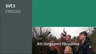 S\/T2 - Dagens program den 3 juli 2020