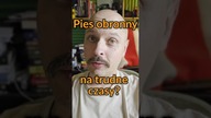 Pies obronny na trudne czasy?