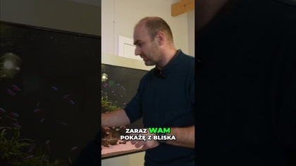 Filtracja Sump: 1/3 objętości akwarium! 
