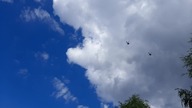 2021 blue sky above my serenity and untroubled water