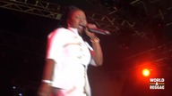 Lady G - Live @ Rebel Salute 2013 Jamaica