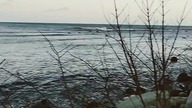 Skillinge! Nadbrzeżna Wioska Rybacka w Szwecji!
